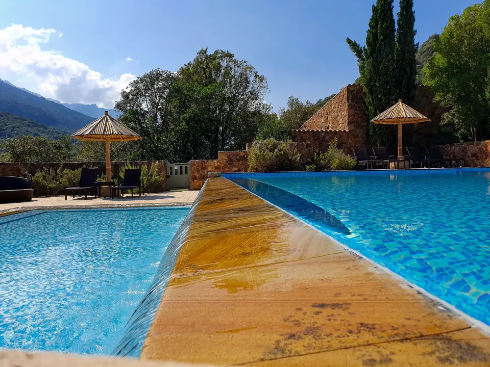 Piscine et espaces détente arborés