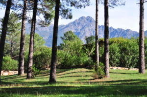 Parc 